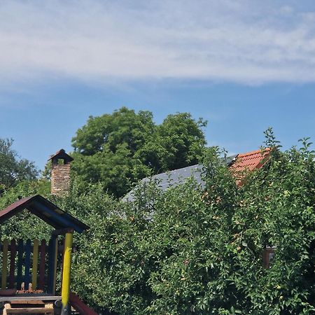 Pensiunea Silba Vád Kültér fotó