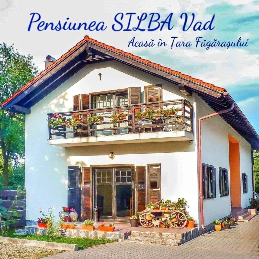 Pensiunea Silba Vád Kültér fotó
