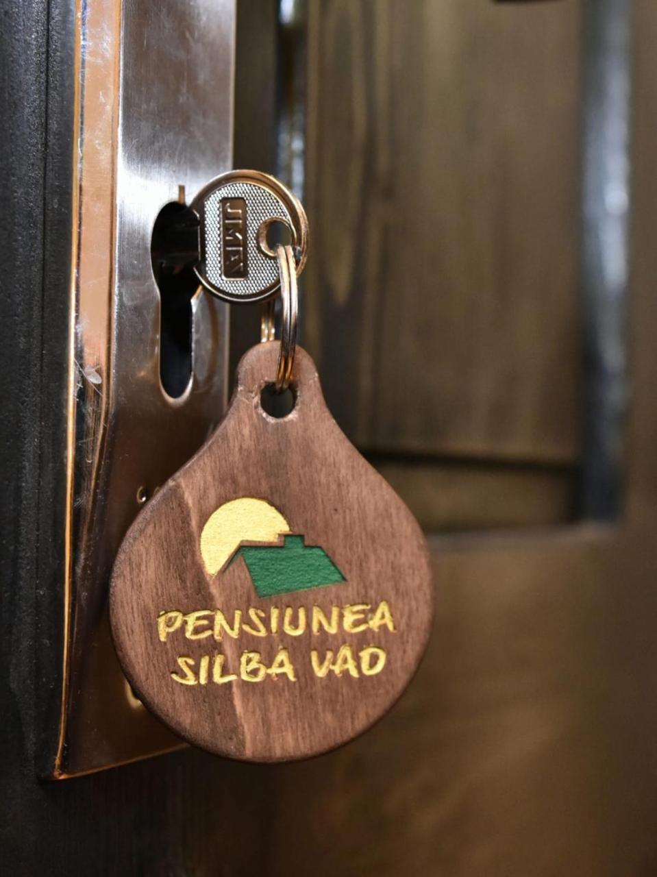 Pensiunea Silba Vád Kültér fotó